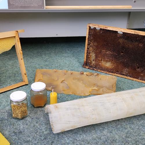 Die Honigbiene und ihre Produkte