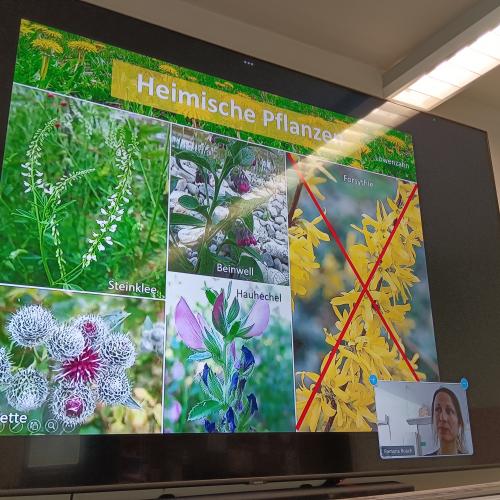 Naturgartenworkshop 