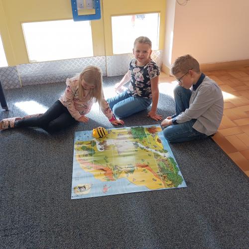 BeeBot 3