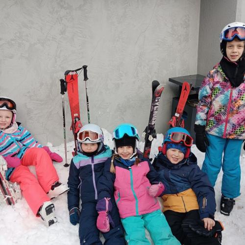 Ski