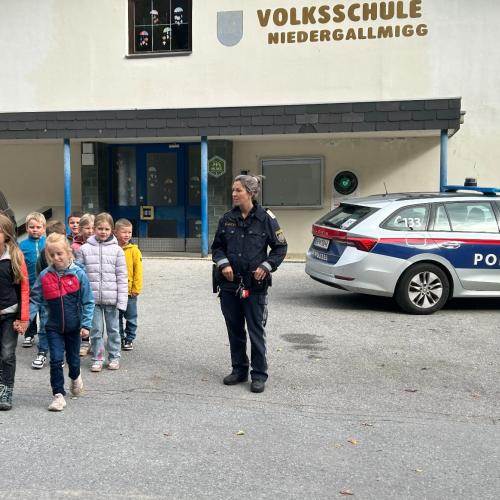 Polizei 6