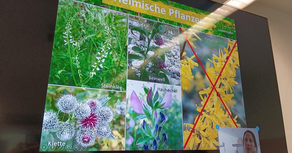 Naturgartenworkshop 
