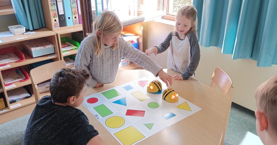 BeeBot 4